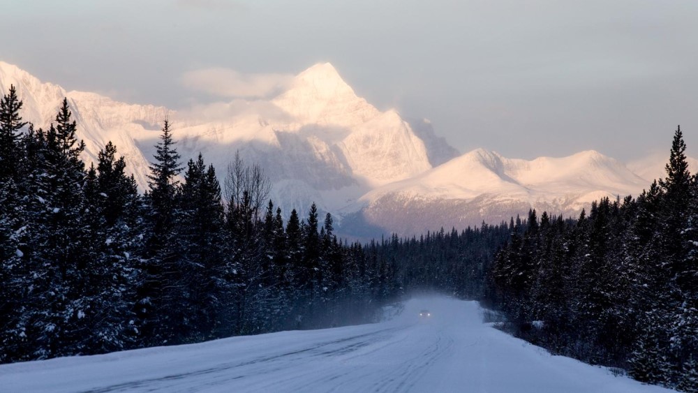 Jasper Icefield Parkway.